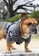 Kiloninerpets grey (LARGE) H1 Tactical Pull-Over Hoodie Grey A1BF6ES5B81214GS_6