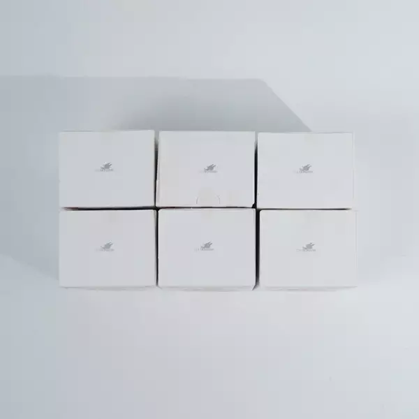 POP MART THE MONSTERS LABUBU MACARON BIG INTO ENERGY 100% ORIGINAL- BLIND BOX