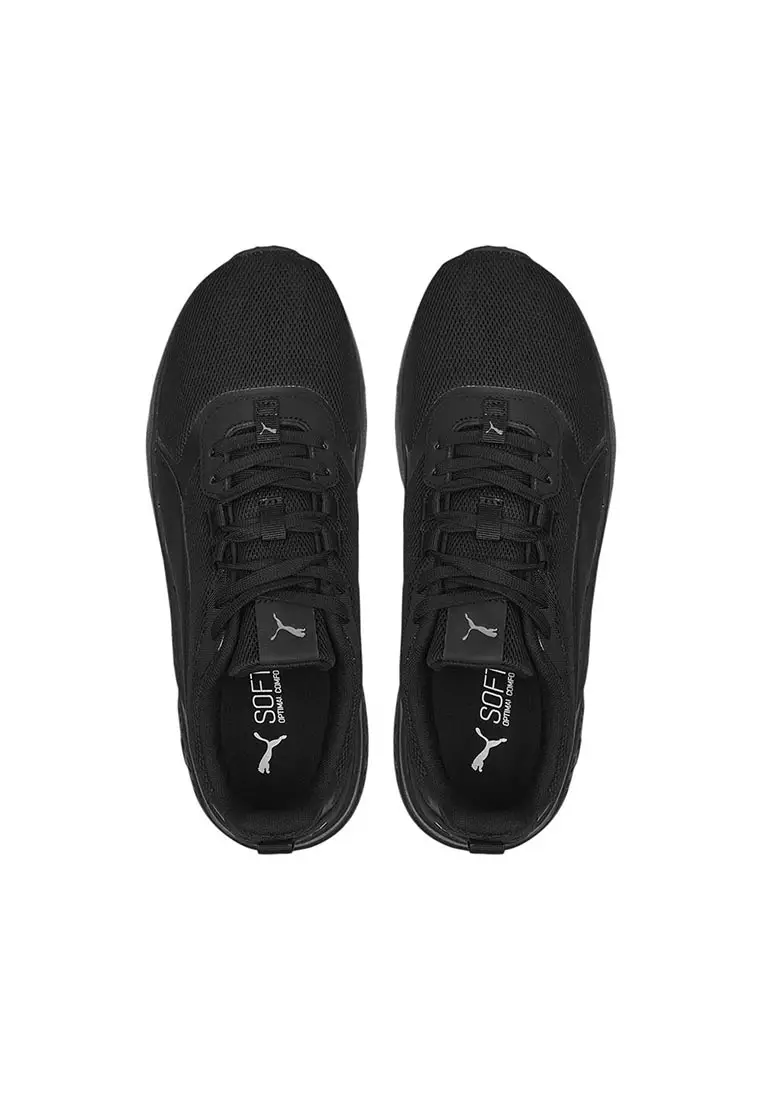 Anzarun Fs Renew