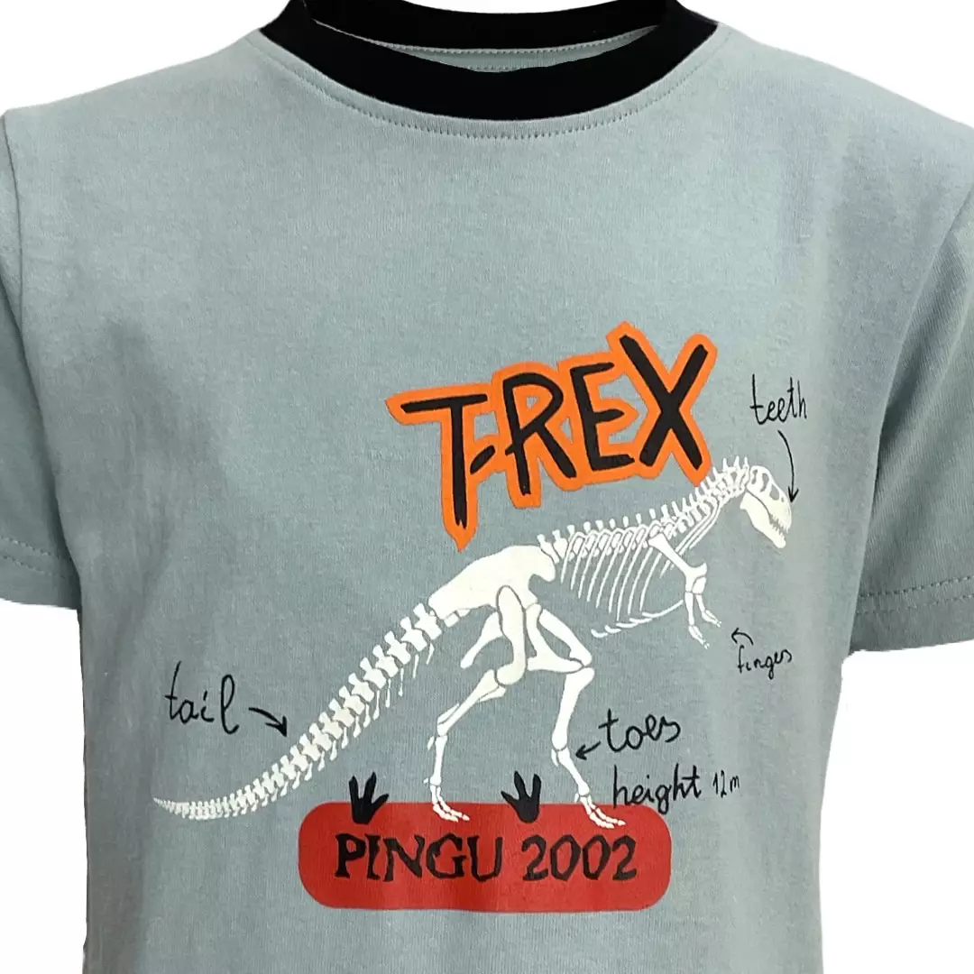 Pingu Kaos Anak Laki Laki Sablon T-Rex Tosca 92002427