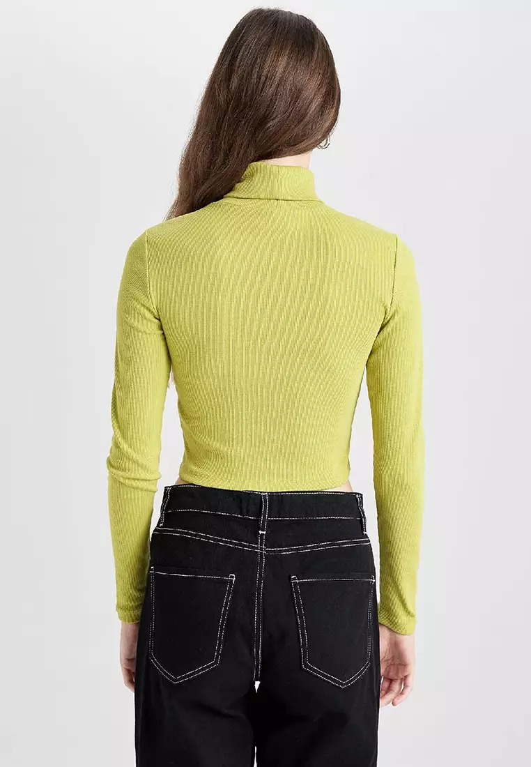 Crop Turtleneck Top