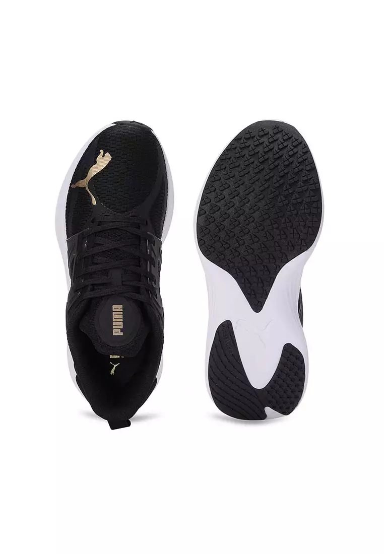 Scend Progressive Wns