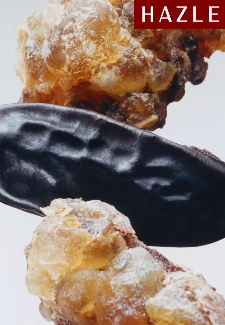 Myrrh & Tonka Unisex Cologne Intense 100 ml