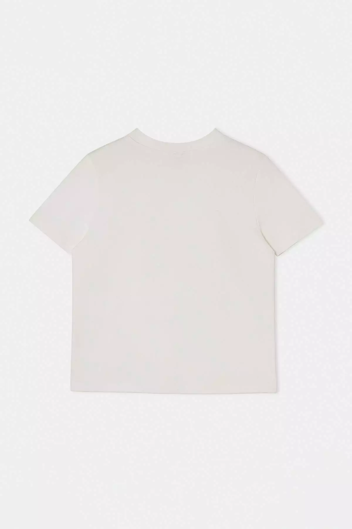 Ecru Embroidered Regular/Normal Fit Short Sleeve 1% Cotton Knitted T-Shirt Twoss26Ts124