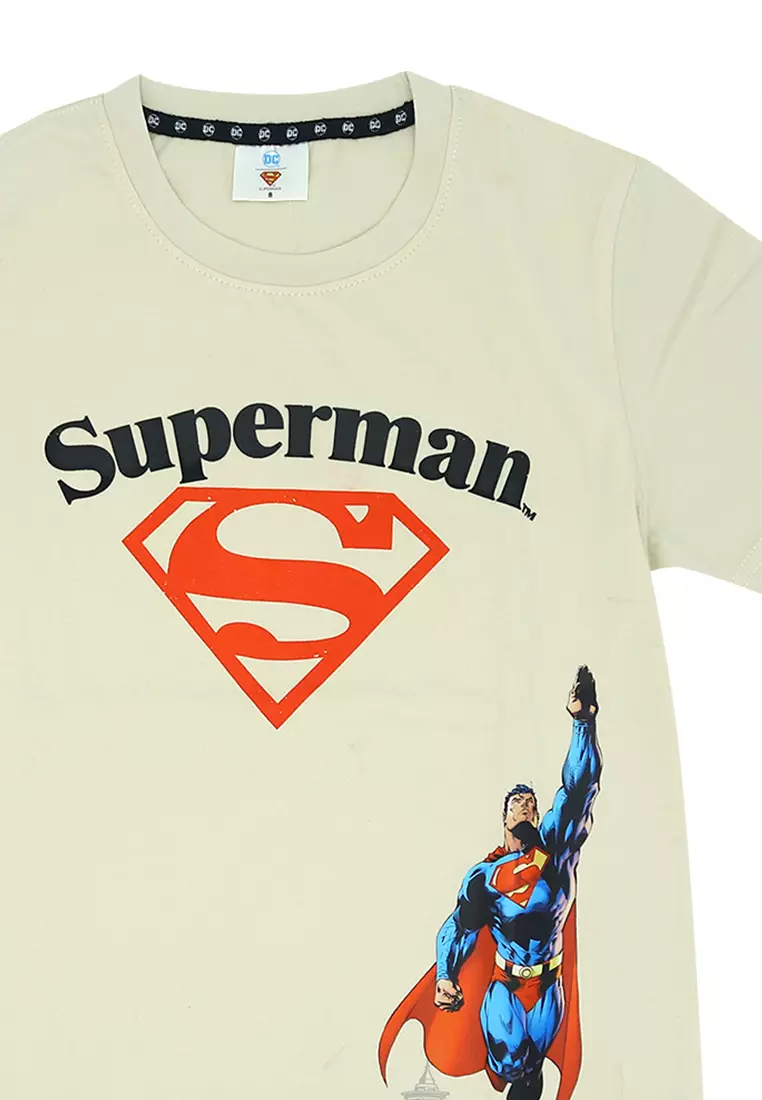 Boys Licensed Graphic T-Shirt "Up, Up and Away"