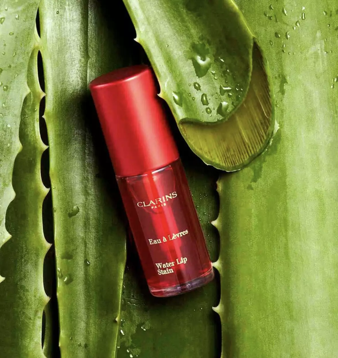 Clarins Water Lip Stain - 01 Rose Water