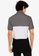 Hollister grey Colorblocked Polo Shirt E8114AA6CC732DGS_2