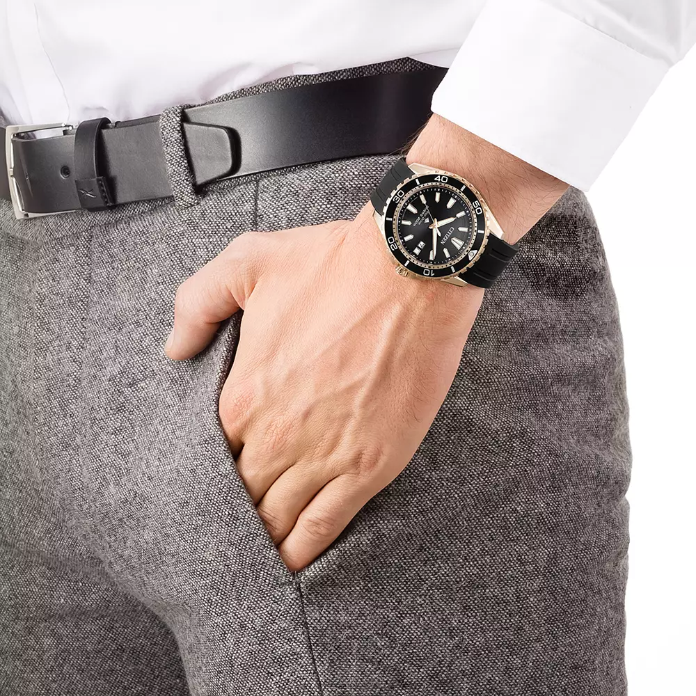 Citizen Promaster Eco Diver Men's Watches CTZ BN0193-17E