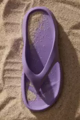 Lilac Purple Dusty Light