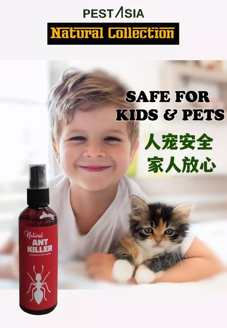 Natural ant repellent safe for outlet cats