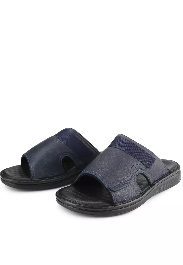 Delphi Haris Slide