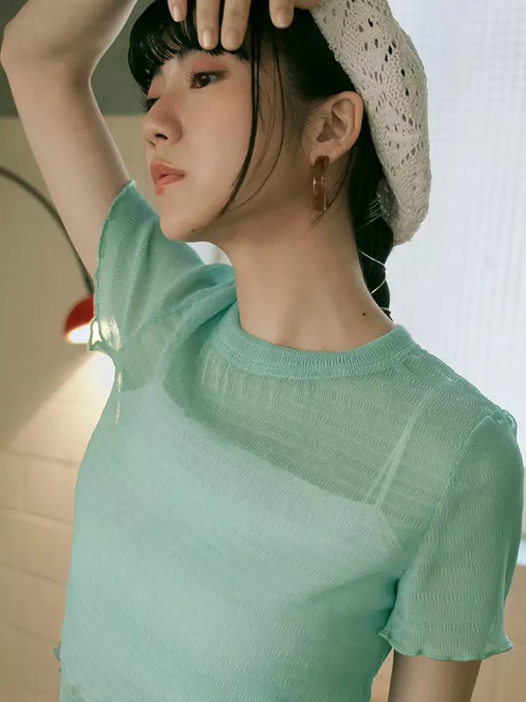 Wrinkled sheer mesh short-sleeve top [AB19539]