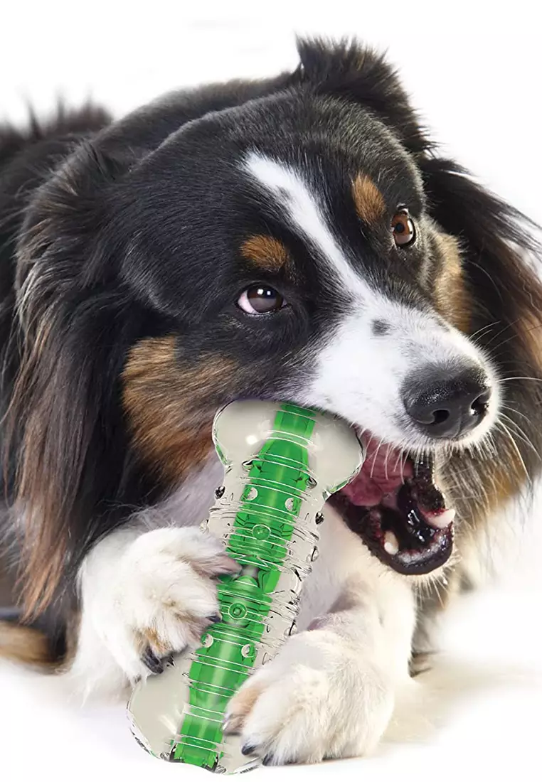 Crunchcore deals dog toy