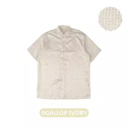 Scallop Ivory