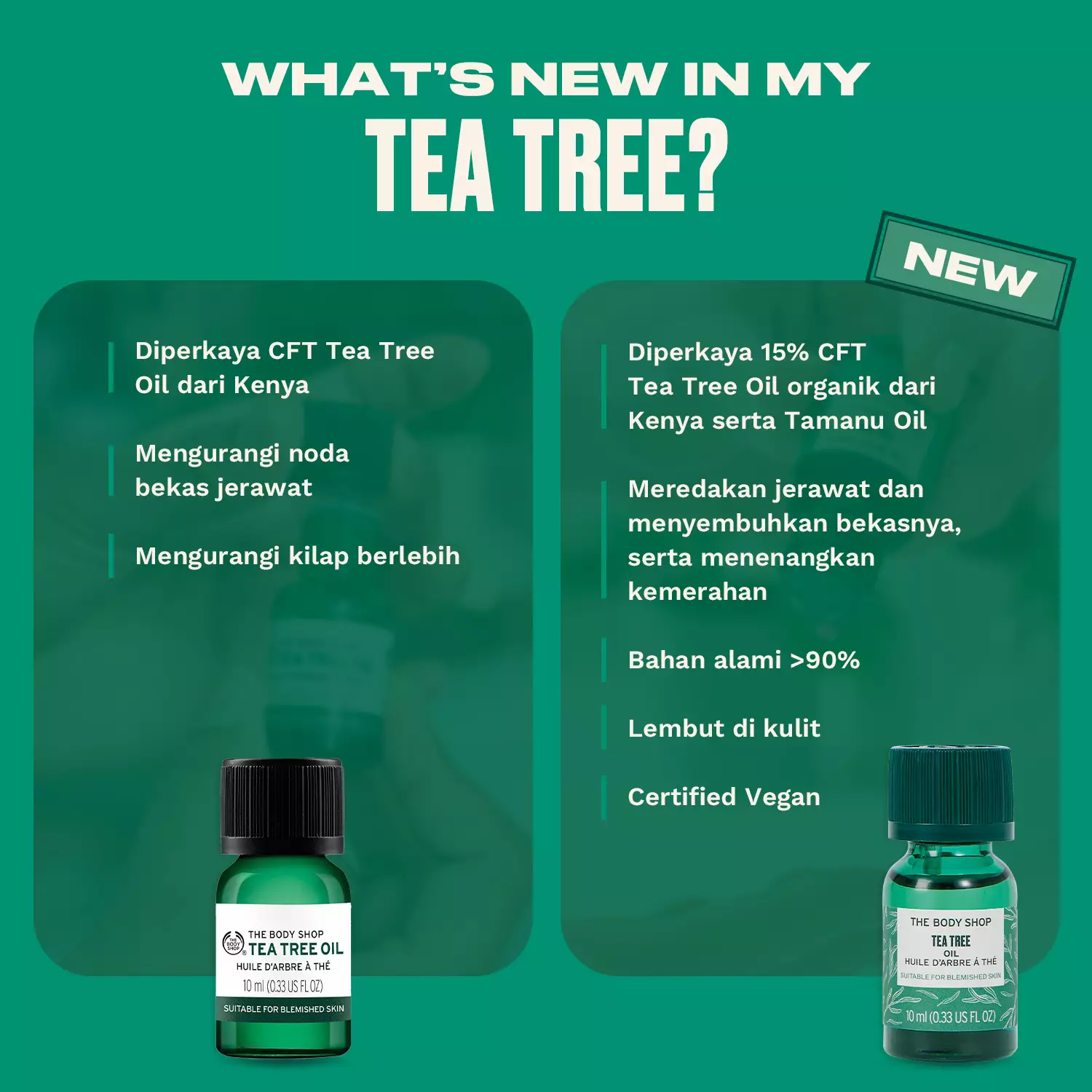 Tea Tree Oil 10Ml
