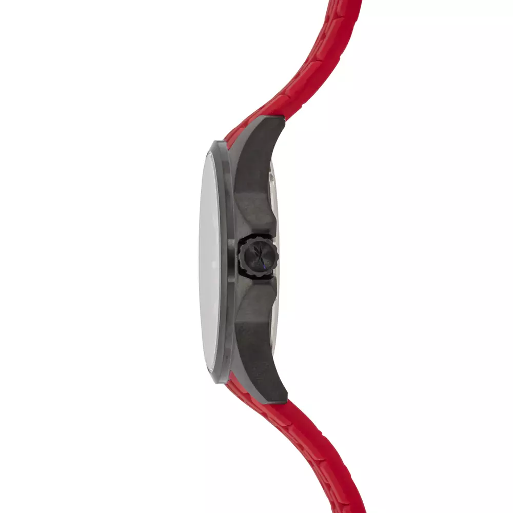 Reebok Casual Men's Watches RB RV-PRM-G3-SBIR-BR