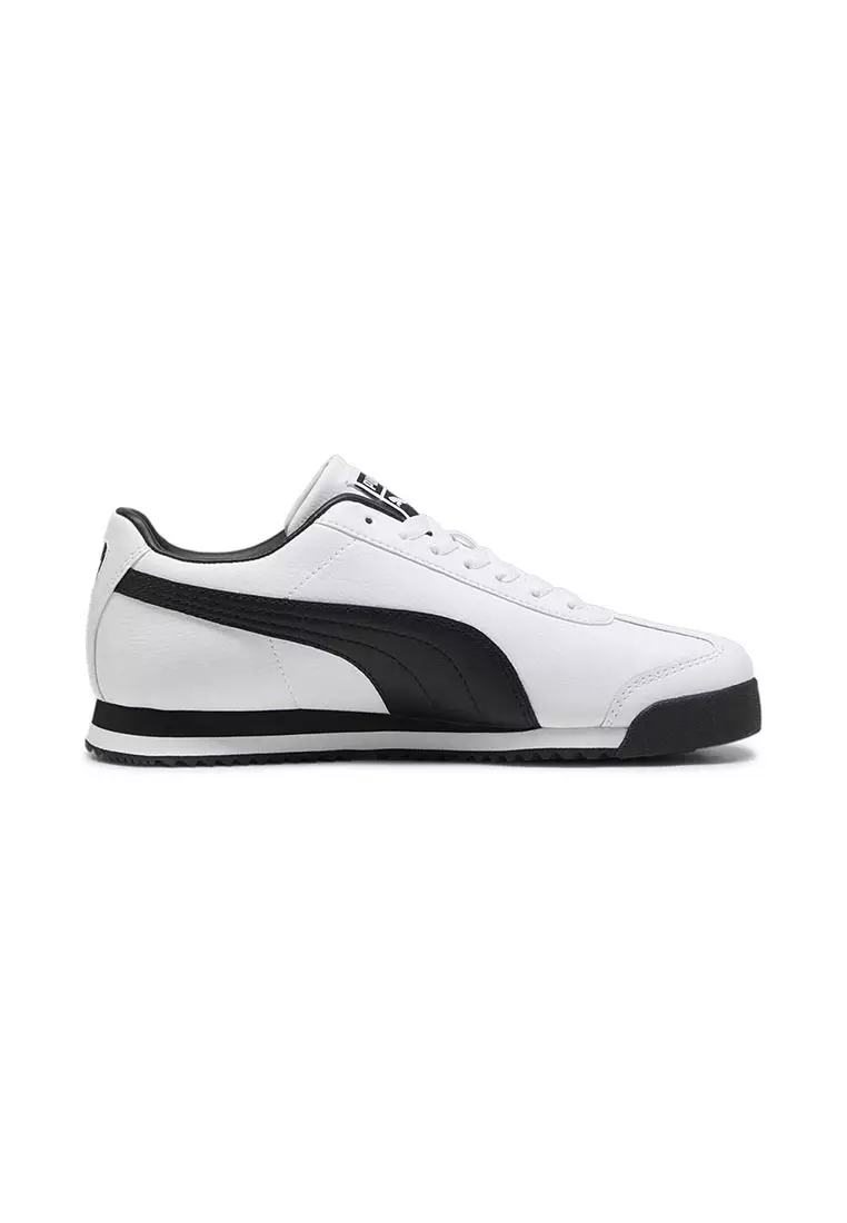 Roma 24 Standard