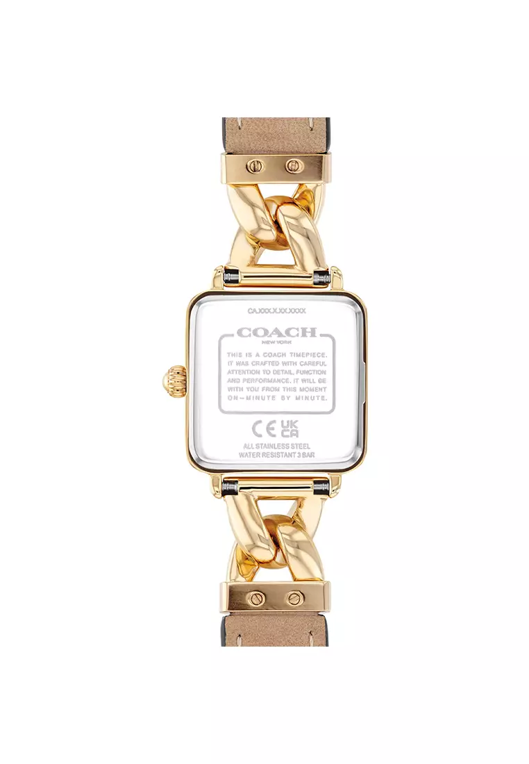 Cass Brown Leather Strap Analog Watch CO-14504555