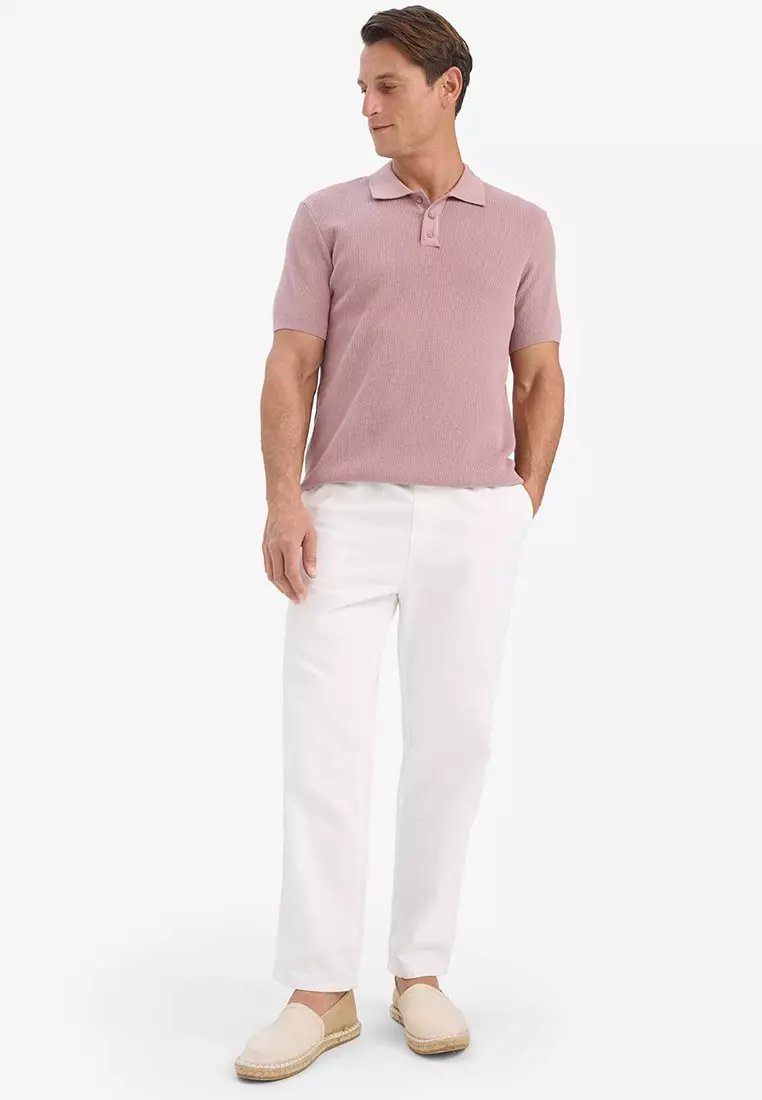 Standard Fit Knit Polo Shirt