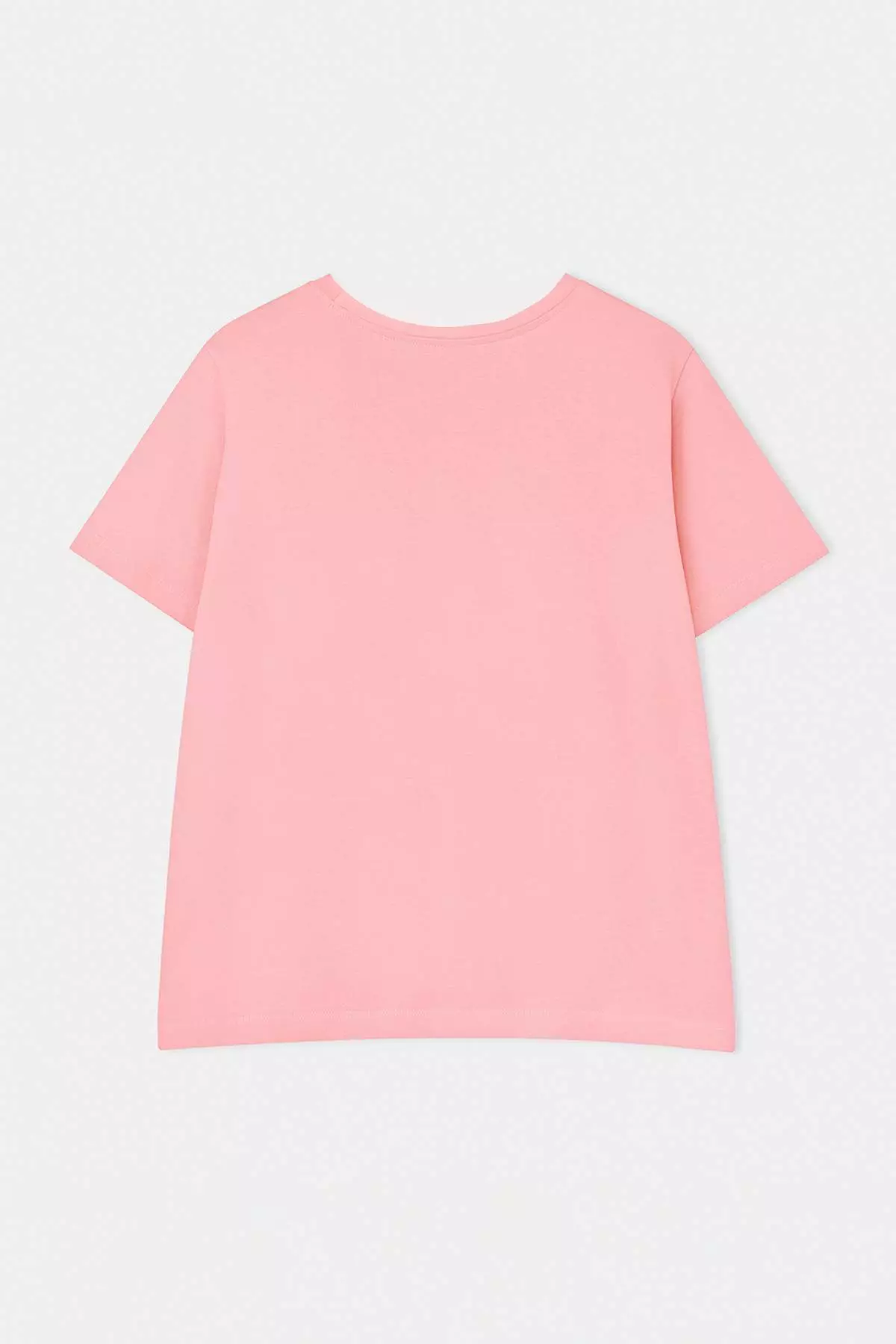 Pink Crew Neck Embroidery Detailed Regular Fit Plus Size T-Shirt Tbbss26Bf00032