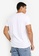 Hollister white Emea T-Shirt 28BD3AA27F0C0EGS_6