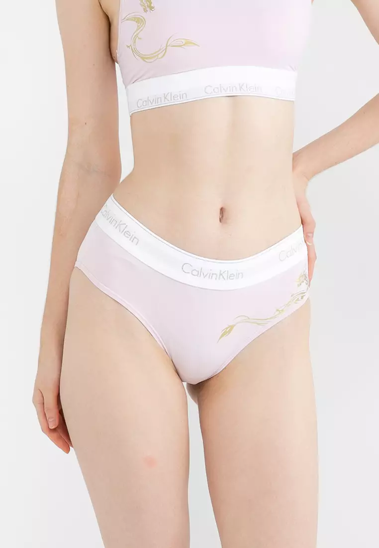 Buy Calvin Klein Dragon Printed Hipster Briefs - Calvin Klein Underwear  2024 Online