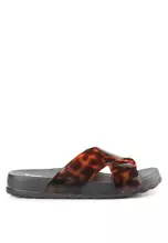 Black/Tortoise