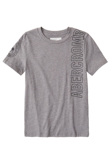Buy Abercrombie Fitch Print Logo T Shirt Online On Zalora Singapore