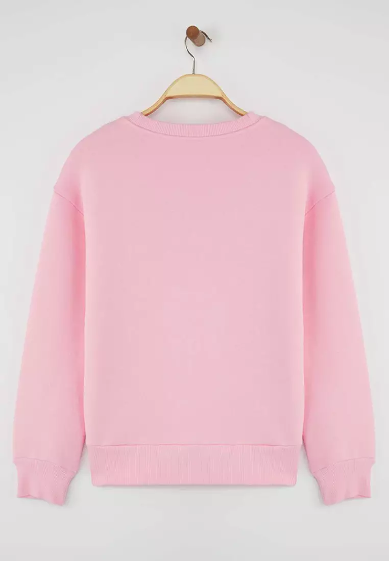 Light Pink Thick Polar Fleece Regular/Normal Pattern Crew Neck Basic Knitted Sweatshirt Twoaw24Sw00101