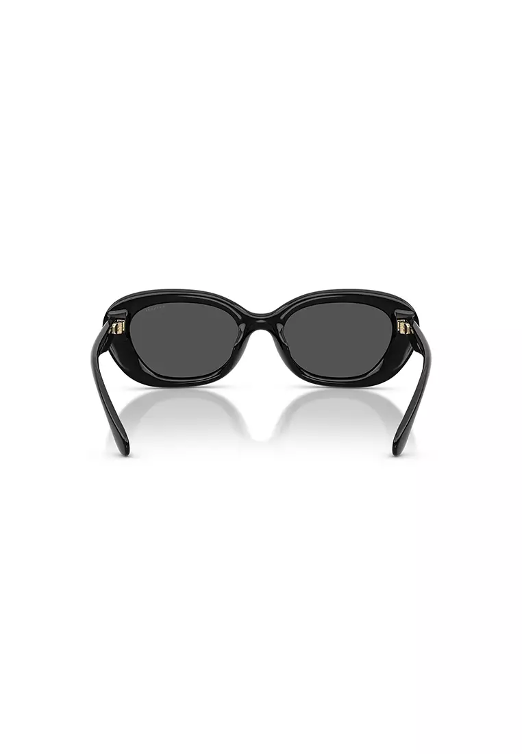 Women's Oval Frame Black Injected Sunglasses - HC8448U