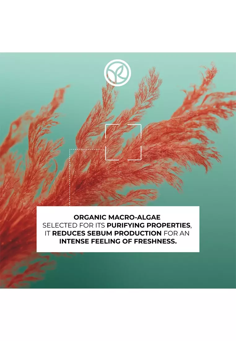 Refresh Purifying Shampoo 300ml & Conditioner 200ml Original Hair Care Normal To Oily Hair Sulfate-Free