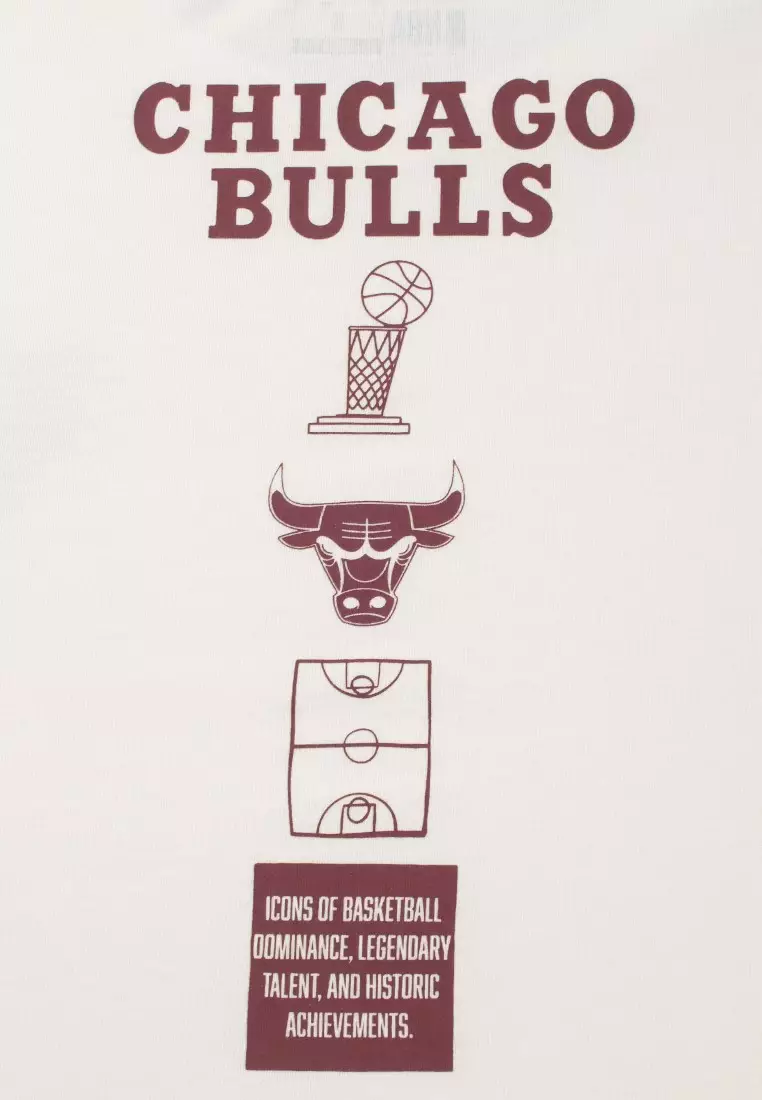 Chicago Bulls T-Shirt for Men Urban Lines Collection