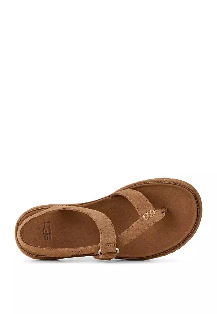 Women's GoldenGaze Toe Post Sandal - Chestnut (1175134-CHE)