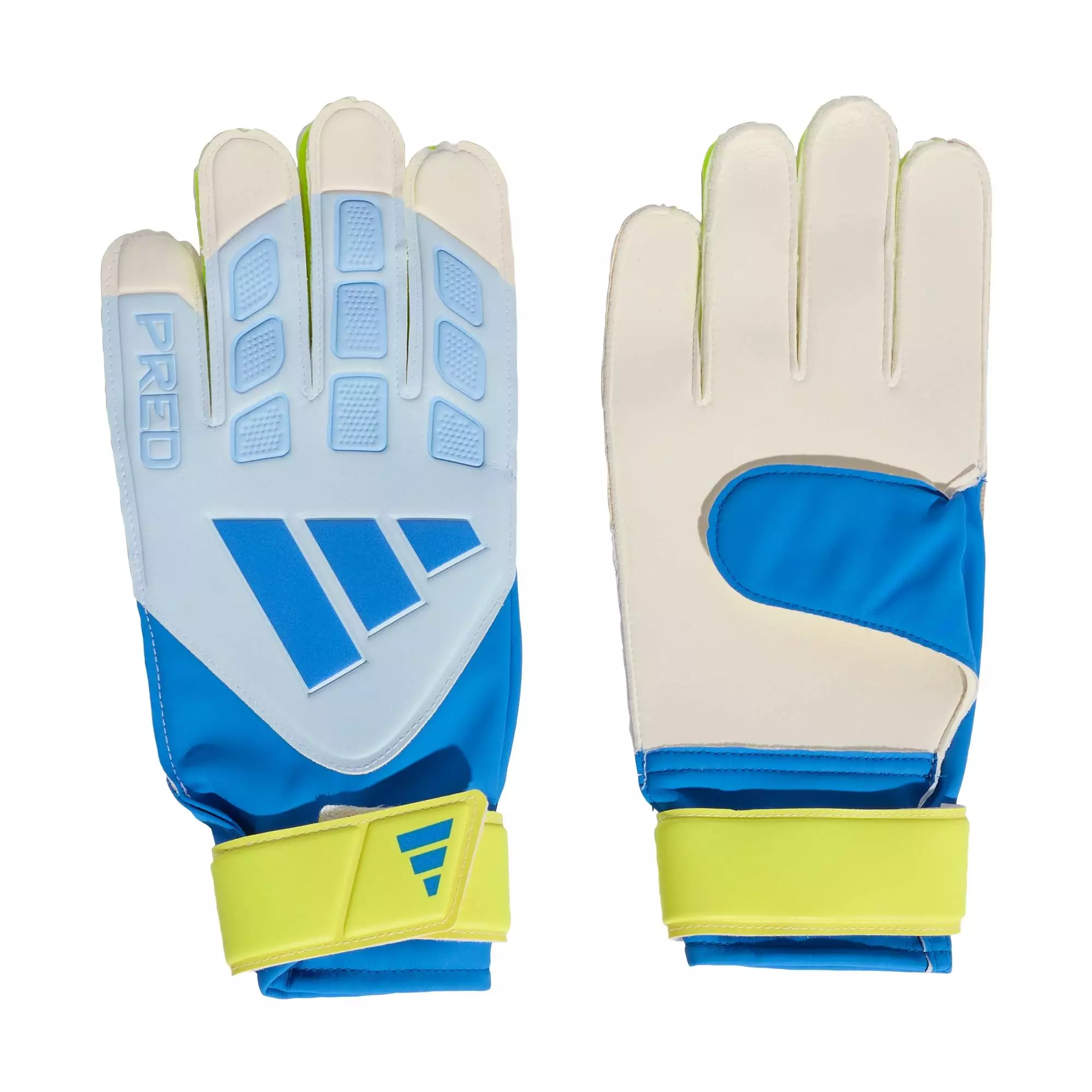 Football PREDATOR GOALKEEPER GLOVE TRAINING Unisex Blue KA7786