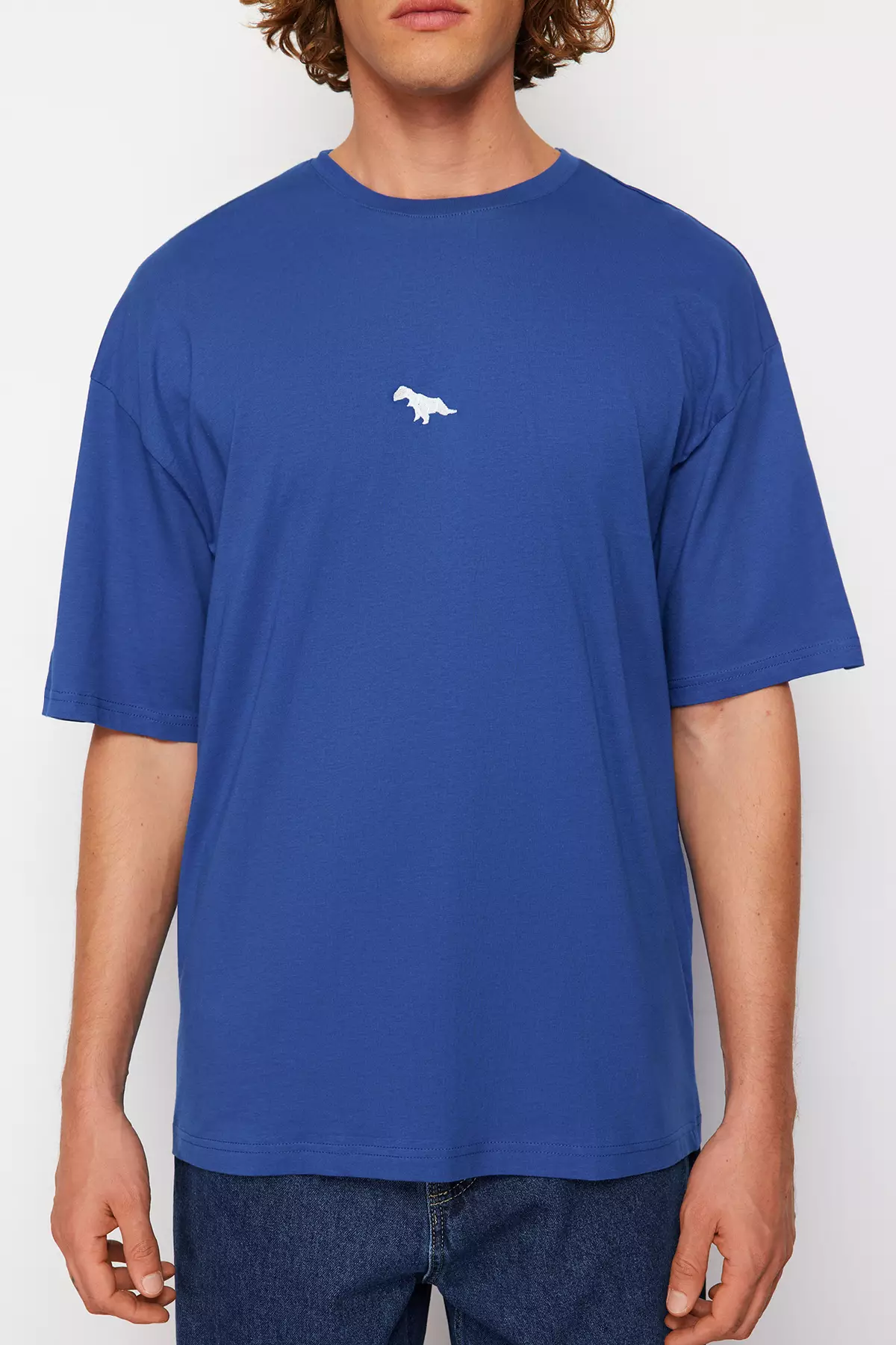 Oversize/Wide Cut Short Sleeve Dinosaur Embroidered T-Shirt