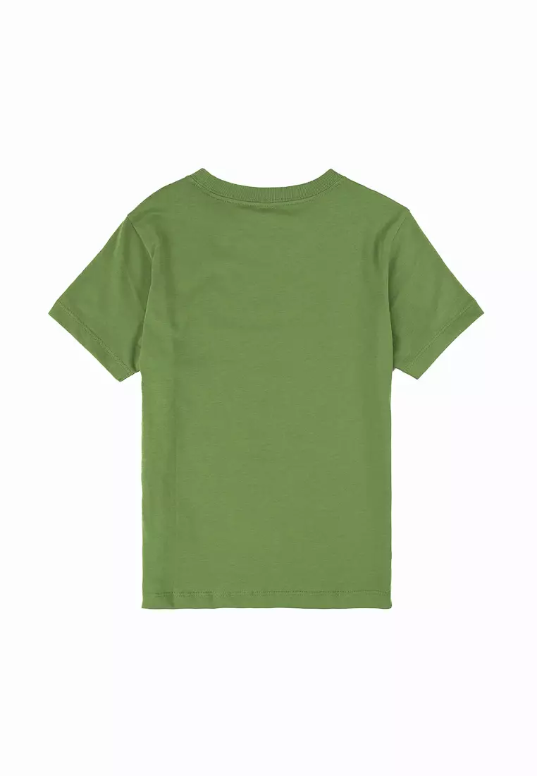 Boys' Dinosaurs T-Shirt