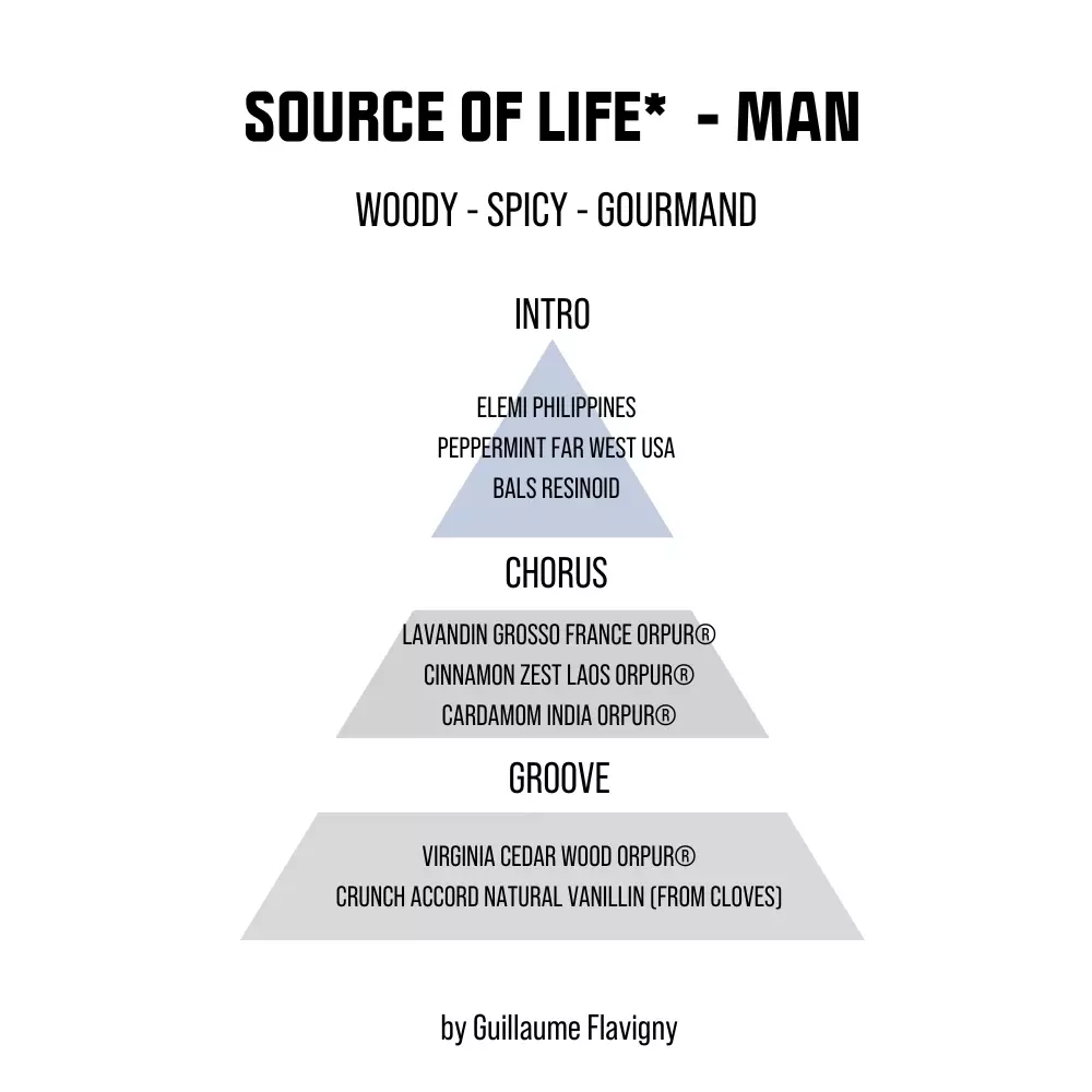 Replay Source Of Life Men EDT 100 ml - Parfum Pria