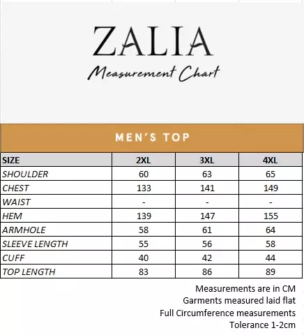 Plus Size Ahdam Casual Shirt