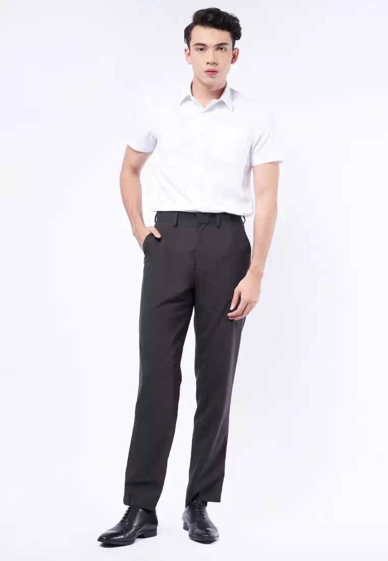 Regular Fit Dress Up Pants