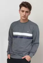 0005 Grey