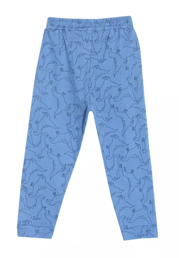 Dino Doodle Boys Jogger Set