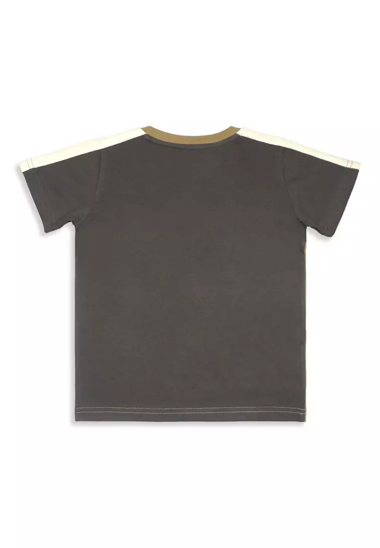 Boys T-Shirt With Print Details