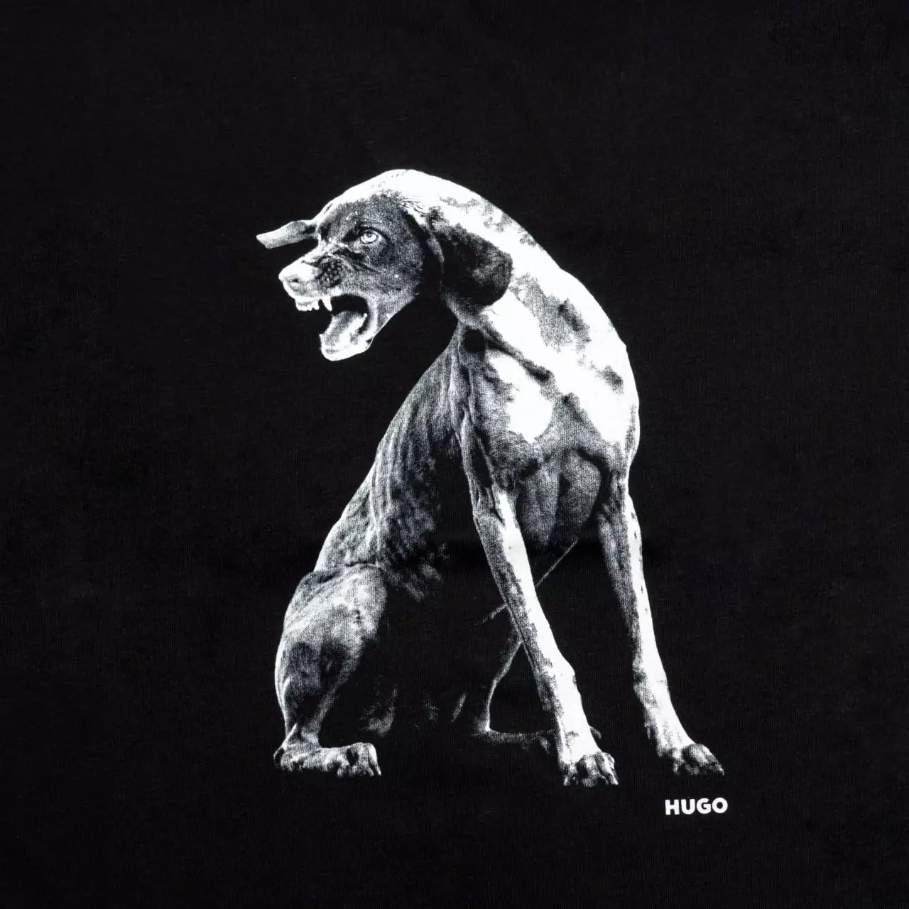 Didug Grey Dog-Artwork T-Shirt in Cotton Jersey Black