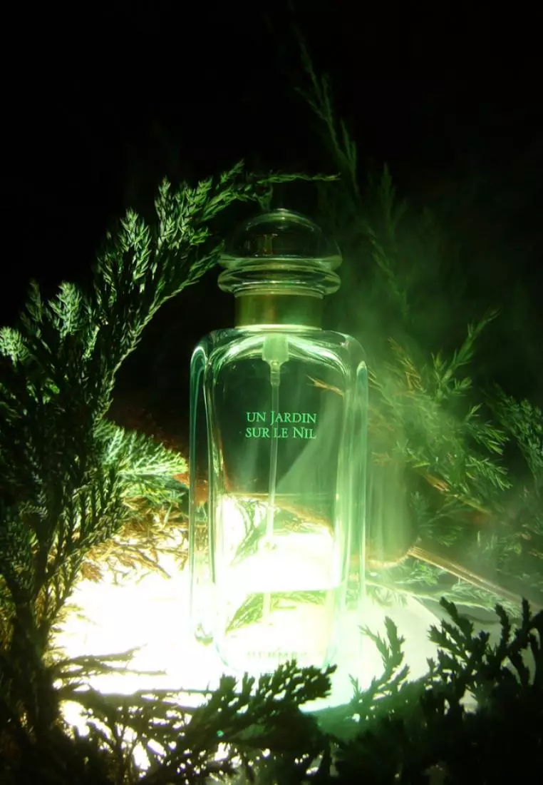 Coco Mademoiselle Chanel eau de parfum 100ml - Vinted