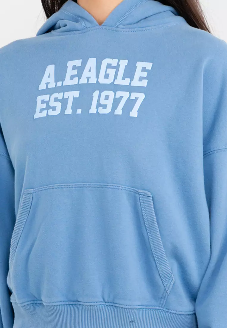 Buy American Eagle Classic Logo Pullover Hoodie 2024 Online