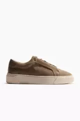 Mole Medium Dusty
