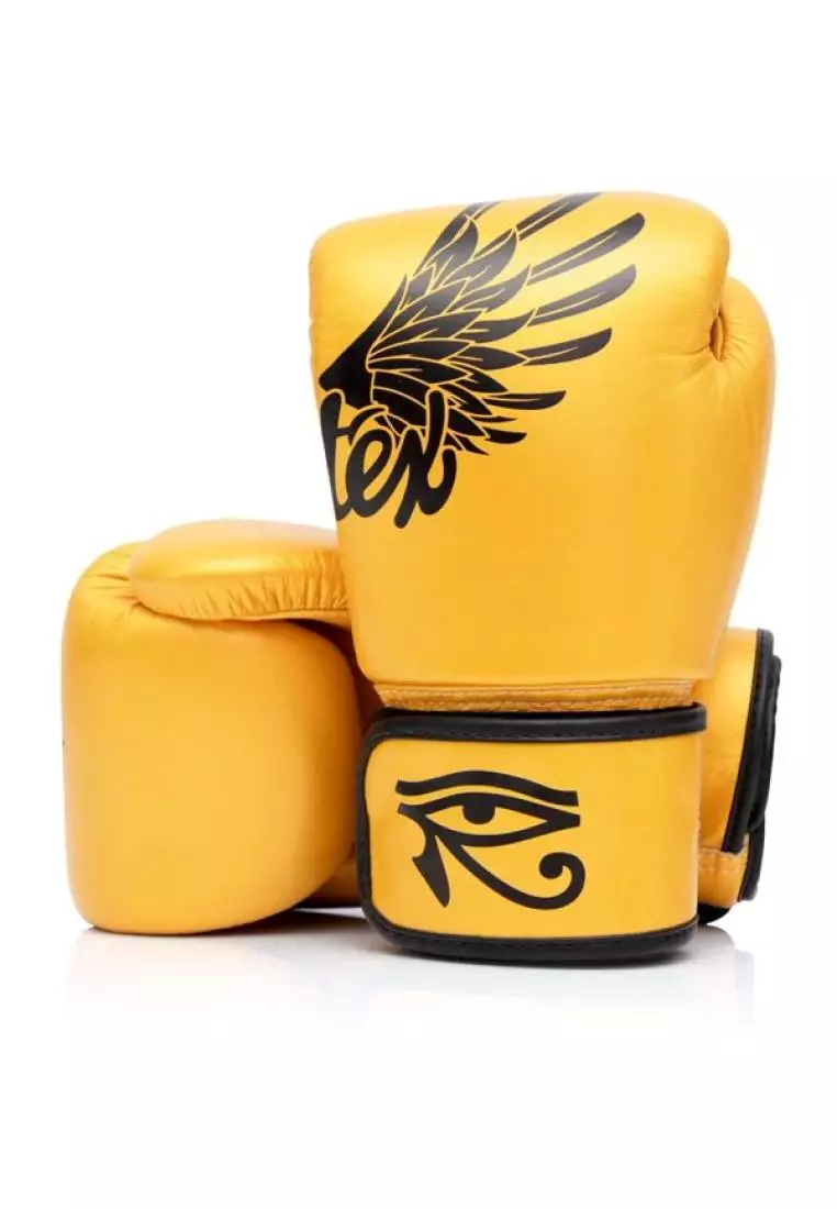 Buy Fairtex Fairtex Boxing Gloves Falcon 2025 Online ZALORA