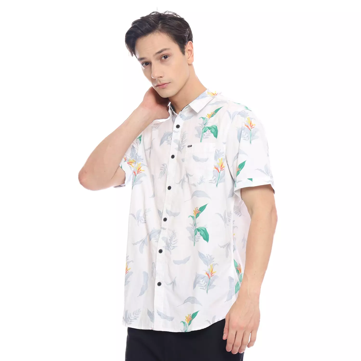 Dragon Kemeja Lengan Pendek Pria Botanical Men Shirt Short Planet Surf