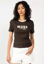 Chocolate Torte/Detail: Biscott