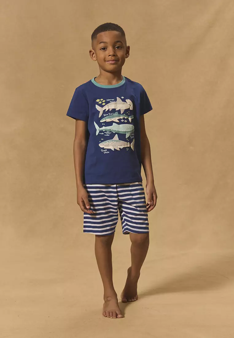 Blue Shark T-Shirt And Shorts Set